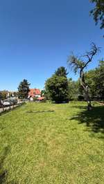 Hundeauslaufgebiet-Hundewiese Ossweil-Bild