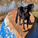 Ersteller:in Annika Profilbild