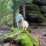 Ersteller:in Fre Profilbild