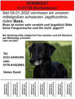 Suchmeldung-Boss-Bild