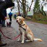 Ersteller:in Annika Profilbild