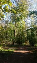 Hundeauslaufgebiet-Fasanerie Köthen-Bild