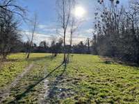 Hundeauslaufgebiet-Hundewiese Dessau-Bild