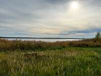 Hundeauslaufgebiet-Gröberner See-Bild