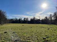 Hundeauslaufgebiet-Hundewiese Dessau-Bild