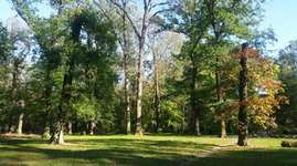 Hundeauslaufgebiet-Fasanerie Köthen-Bild