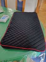 Hundefahradanhänger-Beitrag-Bild