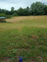 Hundeauslaufgebiet-Nordpol-Bild