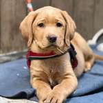 Ersteller:in Caro Profilbild