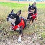 Ersteller:in madoggy Profilbild