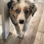 Ersteller:in Lisa Profilbild