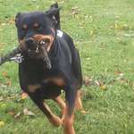 Ersteller:in Cornelia Profilbild