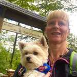 Ersteller:in Annett Profilbild