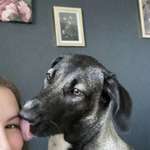 Ersteller:in Sabrina Profilbild