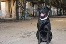 Hallo ich begrüße euch😊-Beitrag-Bild