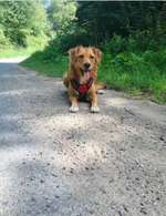 Suchmeldung-Baia-Bild