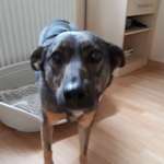 Ersteller:in Jana Profilbild