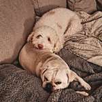 Ersteller:in Isabelle Profilbild