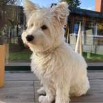 Ersteller:in Silvia Profilbild