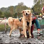 Ersteller:in Sam Profilbild