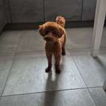 Ersteller:in Marie Profilbild