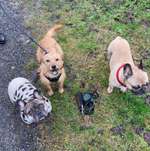 Ersteller:in Lisa Profilbild