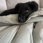 Ersteller:in Charlotte Profilbild