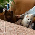 Ersteller:in Florian Profilbild