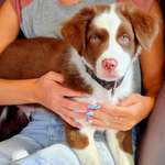 Ersteller:in Amelie Profilbild