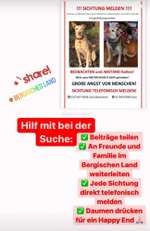 Suchmeldung-Henry-Bild