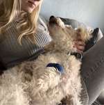 Ersteller:in Karina Profilbild