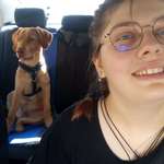Ersteller:in Amanda Profilbild