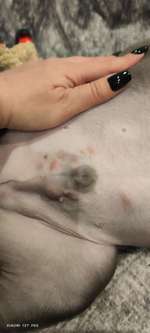 Hautausschlag-Beitrag-Bild