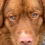 Ersteller:in Janine Profilbild