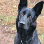 Ersteller:in Svetlana Profilbild