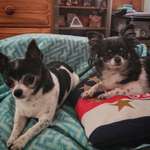 Ersteller:in Mikaela Profilbild