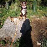 Ersteller:in Doris Profilbild