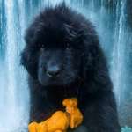 Ersteller:in Becky Profilbild