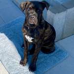 Ersteller:in Vanessa Profilbild