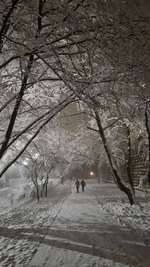 Hundeauslaufgebiet-Burggraben Tiergärtner Tor - Vestner Tor-Bild