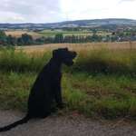 Ersteller:in Anja Profilbild