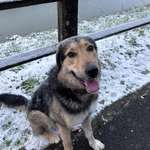 Ersteller:in Paula Profilbild