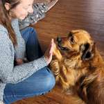 Ersteller:in Swiss Profilbild