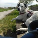 Ersteller:in Pia Profilbild