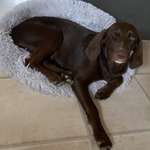 Ersteller:in Sarah Profilbild