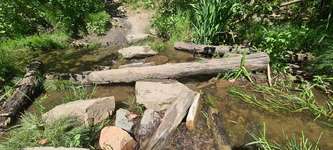 Hundeauslaufgebiet-Herrenholz in Witten-Bild