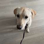 Ersteller:in Anna Profilbild