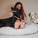 Ersteller:in Melanie Profilbild