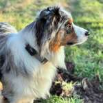 Ersteller:in Isabel Profilbild