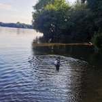 Ersteller:in Toni Profilbild